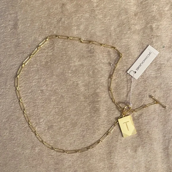 Uncommon James Gold-Plated Necklace - Picture 6 of 9
